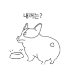 Pig of Welsh CorgI（個別スタンプ：20）