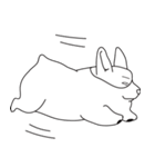 Pig of Welsh CorgI（個別スタンプ：23）