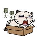 Confused fat cat - Episode 8（個別スタンプ：4）