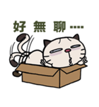 Confused fat cat - Episode 8（個別スタンプ：12）