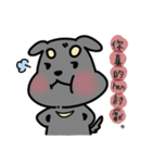 A set of dog stickers（個別スタンプ：23）