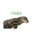 Giant Varanus salvator（個別スタンプ：12）