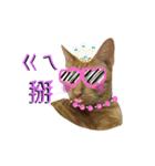 Reiki cat -Some words want to say（個別スタンプ：7）