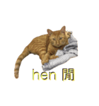 Reiki cat -Some words want to say（個別スタンプ：8）