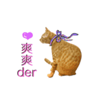 Reiki cat -Some words want to say（個別スタンプ：15）