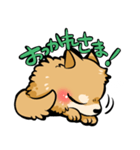 愛犬 ポメラニアンのタルトくん（個別スタンプ：4）