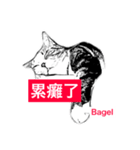 Donut and Bagel -2（個別スタンプ：17）