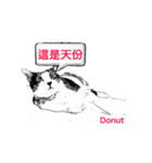 Donut and Bagel -5（個別スタンプ：6）