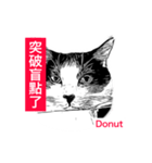 Donut and Bagel -5（個別スタンプ：20）