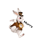 Daily rabbits and animals（個別スタンプ：2）