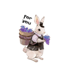 Daily rabbits and animals（個別スタンプ：40）