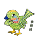 Barbet（個別スタンプ：6）