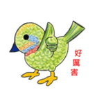 Barbet（個別スタンプ：7）