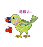 Barbet（個別スタンプ：10）