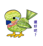 Barbet（個別スタンプ：23）