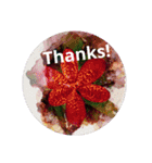 ThankThank（個別スタンプ：2）