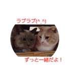 猫ちゃんたちの一日（個別スタンプ：38）