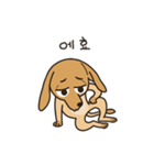 The puppy dog 'danbi'（個別スタンプ：5）