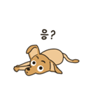 The puppy dog 'danbi'（個別スタンプ：6）