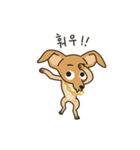 The puppy dog 'danbi'（個別スタンプ：11）