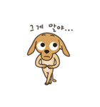 The puppy dog 'danbi'（個別スタンプ：14）