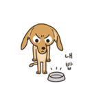 The puppy dog 'danbi'（個別スタンプ：15）