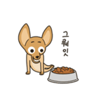 The puppy dog 'danbi'（個別スタンプ：18）