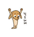 The puppy dog 'danbi'（個別スタンプ：20）