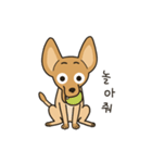 The puppy dog 'danbi'（個別スタンプ：22）