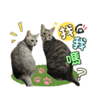 Barbie's Fur Babies（個別スタンプ：19）