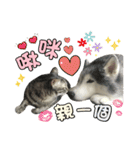 Barbie's Fur Babies（個別スタンプ：23）