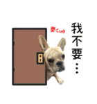 [French Bulldog] pineapple's life（個別スタンプ：9）