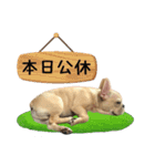 [French Bulldog] pineapple's life（個別スタンプ：11）