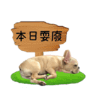 [French Bulldog] pineapple's life（個別スタンプ：12）