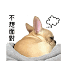 [French Bulldog] pineapple's life（個別スタンプ：29）