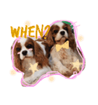 Alice the Cav :  family edition（個別スタンプ：9）