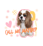 Alice the Cav :  family edition（個別スタンプ：22）