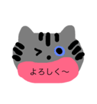 meow cat meow（個別スタンプ：13）