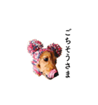 Pink monster of a dachshund vol.2（個別スタンプ：10）