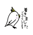 Funny bird stamp（個別スタンプ：11）