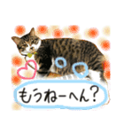 ねこのまーくん（個別スタンプ：7）