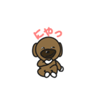 子犬のわんわん（個別スタンプ：2）