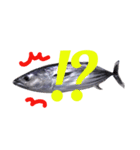 Surreal skipjack tuna（個別スタンプ：3）