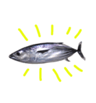 Surreal skipjack tuna（個別スタンプ：7）