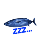 Surreal skipjack tuna（個別スタンプ：8）