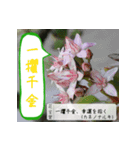 吹き出し 花言葉（個別スタンプ：4）