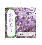 吹き出し 花言葉（個別スタンプ：5）