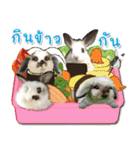 FuFu's Family 3（個別スタンプ：23）