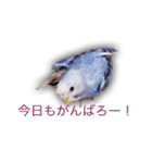 日常セキセイインコsuper（個別スタンプ：8）