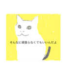 White cat KOFUDE（個別スタンプ：5）